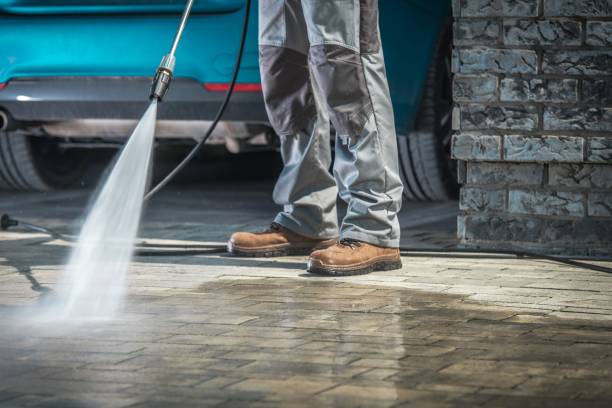 Best Pre-Holiday Cleaning  in Arcola, IL
